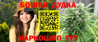 СК Гагарин