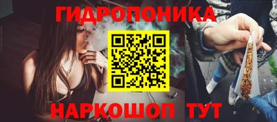 a pvp Гай