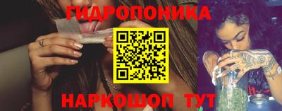 СК Гагарин