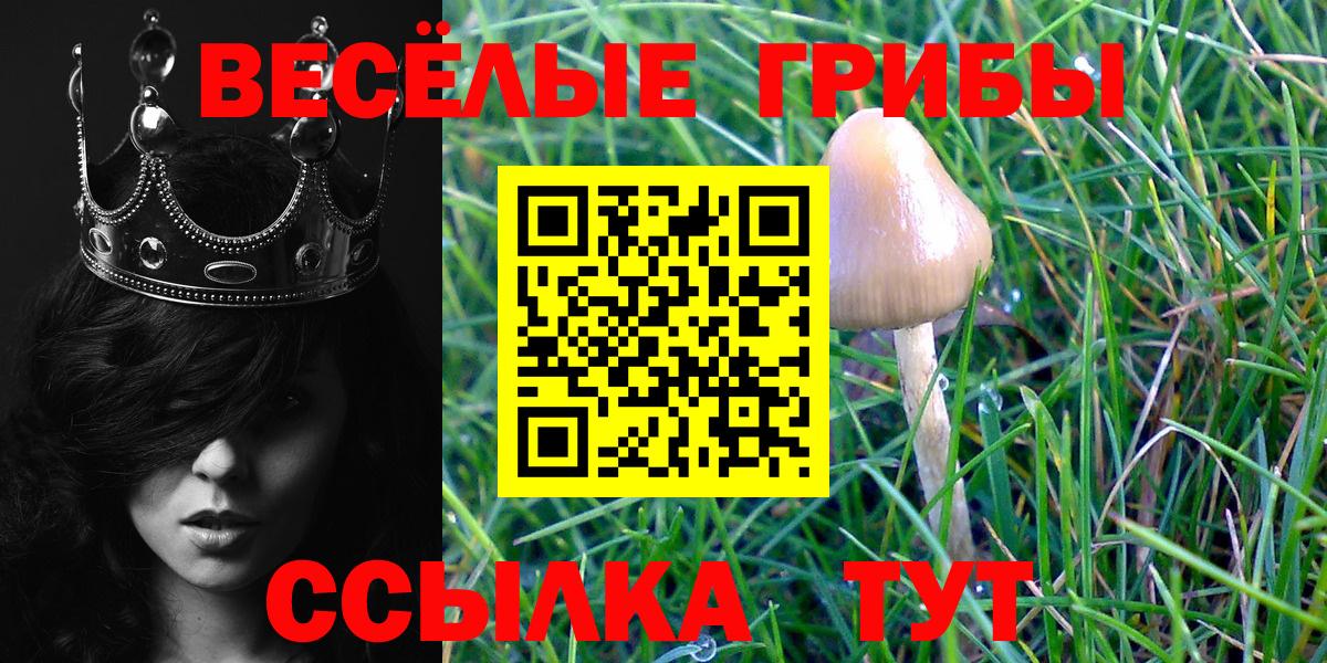 Галлюциногенные грибы прущие грибы Гуково
