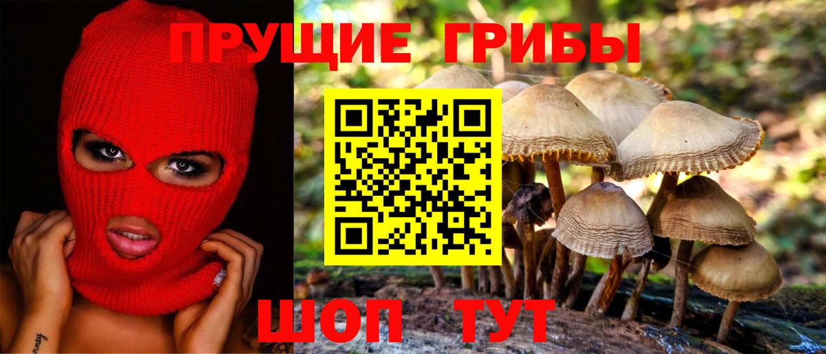 Галлюциногенные грибы Magic Shrooms  Вход с VPN  Гуково 